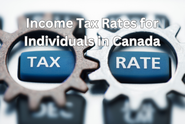 Income Tax Rates for Individuals in Canada (2025)