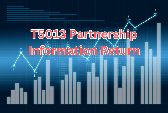 T5013 Partnership Information Return